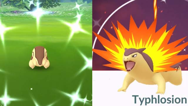 Cyndaquil Cyndaquil