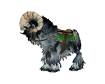 Black Ram(WoW Classic)